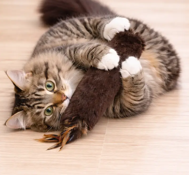 Natural Rabbit Cat Kickers w/Sound
