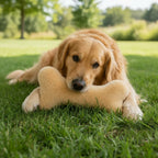 100% Sheepskin Bone w/Squeaker