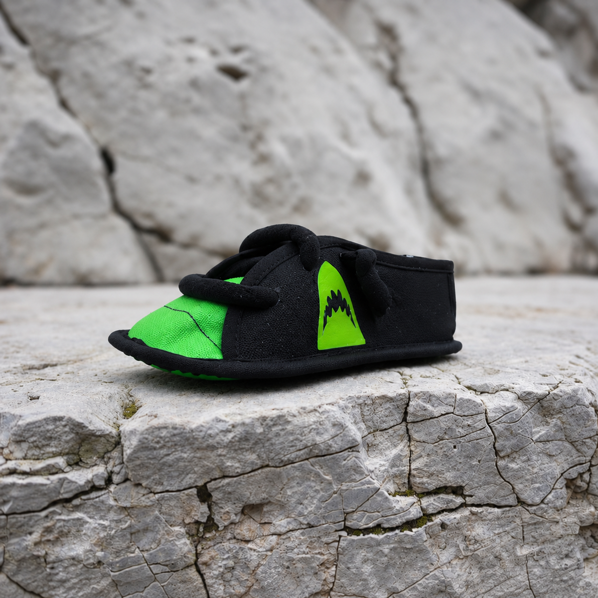 Canvas Shoe Dog Toy