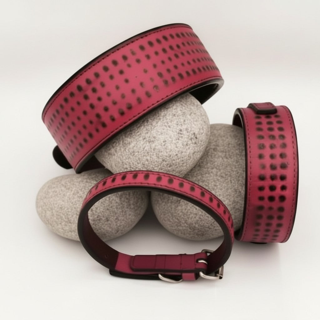 Leather Foil Hammered Dog/Cat Collars
