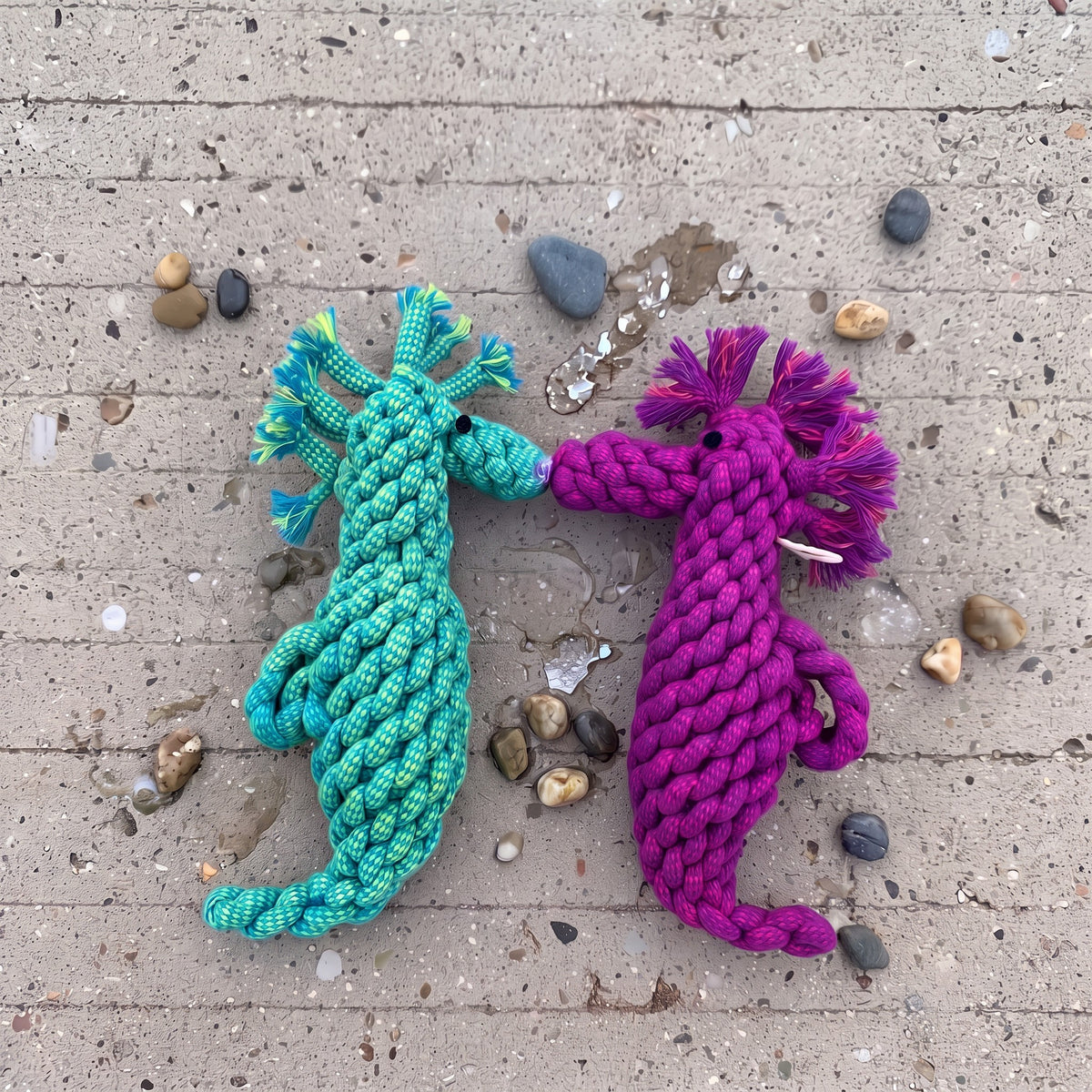 Rope Seahorse Dog Toy