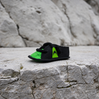 Canvas Shoe Dog Toy
