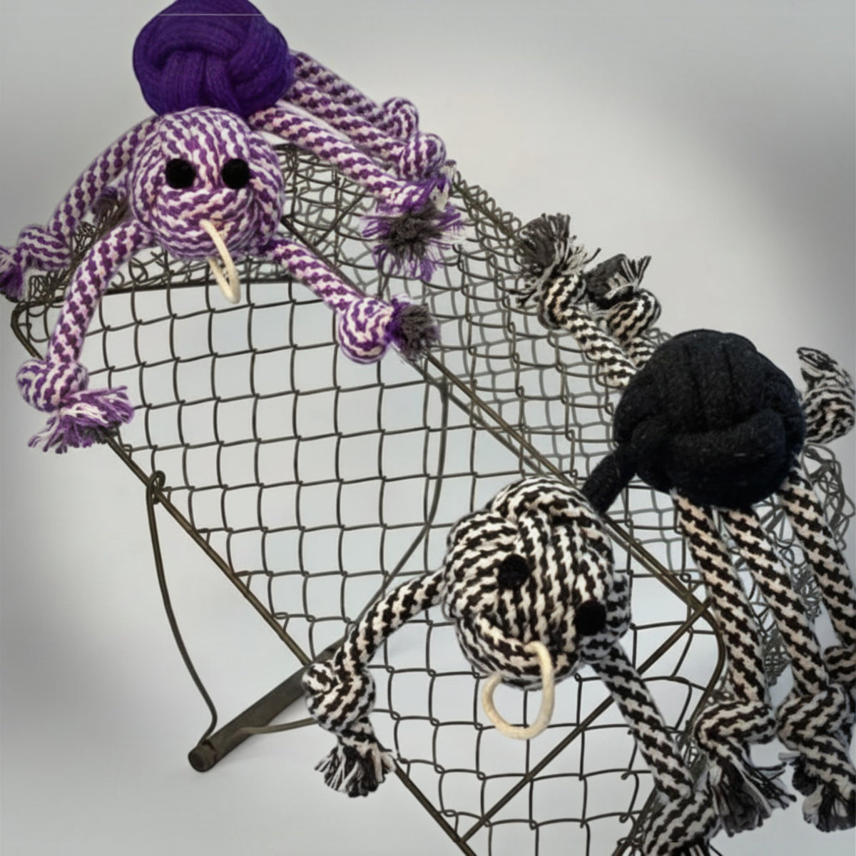 Rope Spider Dog Toy