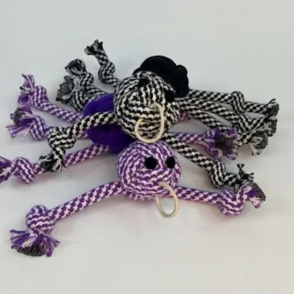 Rope Spider Dog Toy