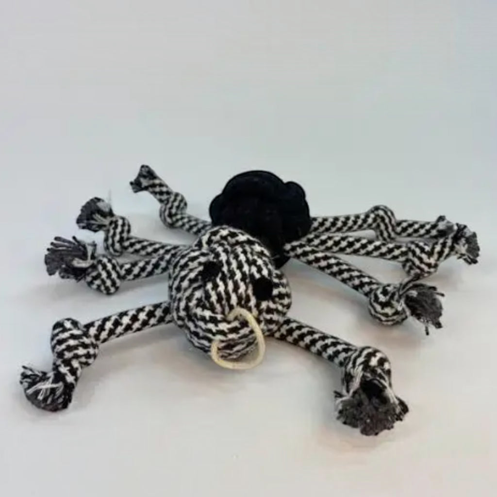 Rope Spider Dog Toy