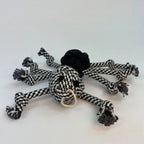 Rope Spider Dog Toy