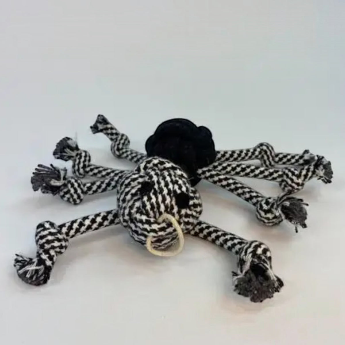 Rope Spider Dog Toy